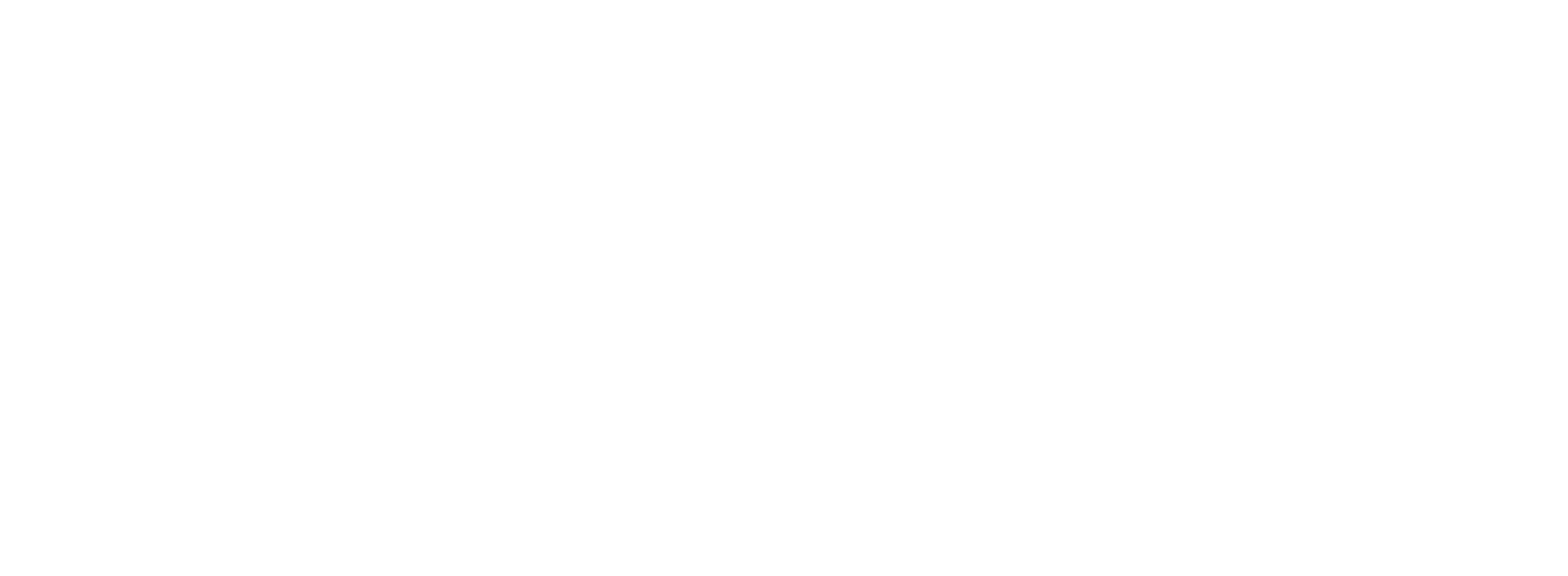 Dante by Audinate