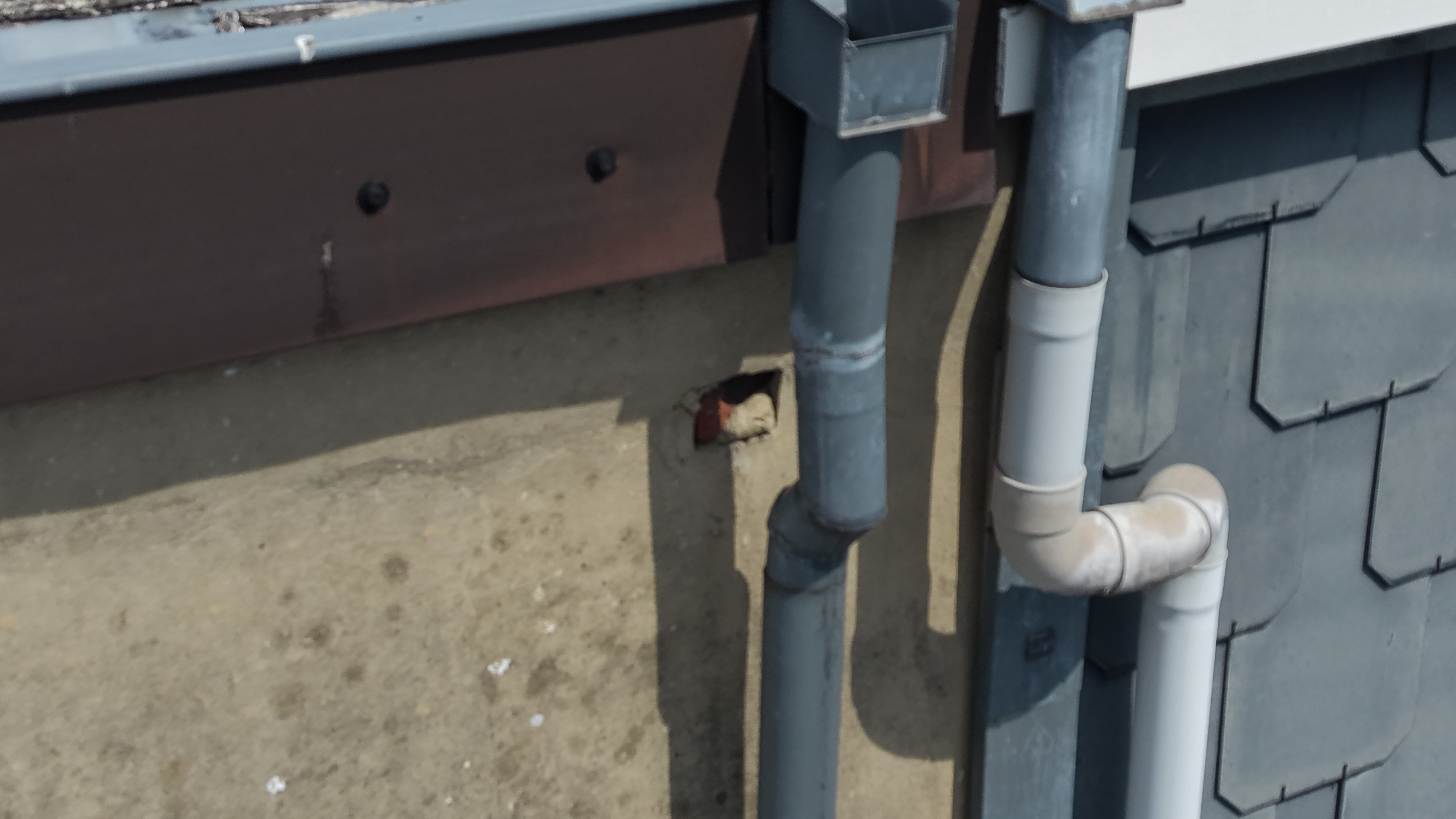 Drone inspection of rainwater drainage